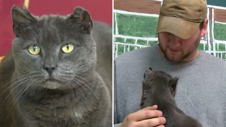 Former Marine Goes On An Incredible 2,000-Mile Trip Just To Reunite With His Long-Lost Cat
