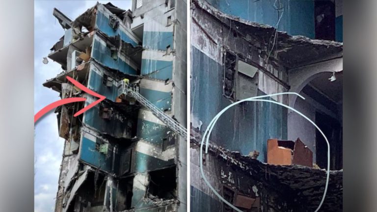 cat stuck in destroyed building