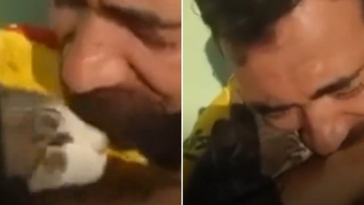 Man Breaks Down In Tears After Finding His Beloved Cat With No Signs Of Life