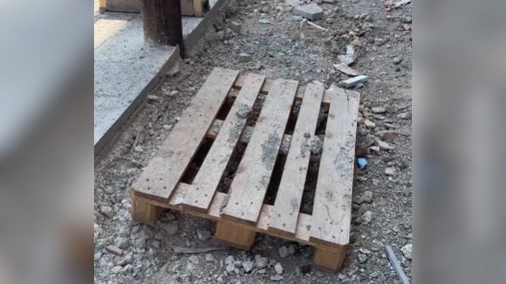 Man Hears A Strange Sound Coming From A Construction Site And Makes A Shocking Discovery