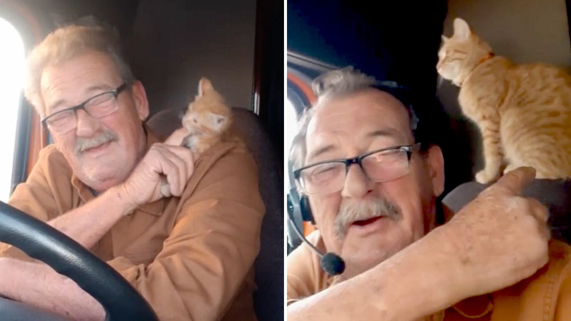 Old trucker and kitten