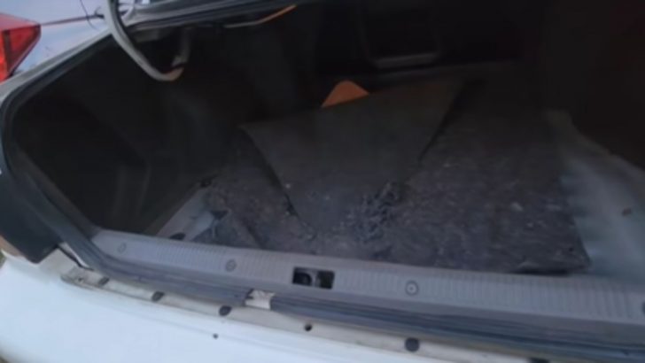 School Worker From New York Opens His Car Trunk And Makes A Surprising Discovery
