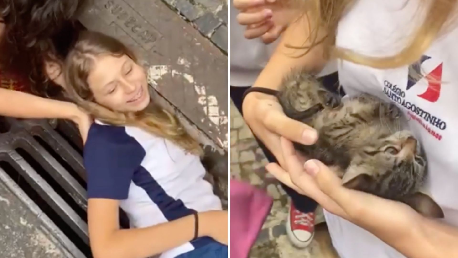 girl helping a kitten