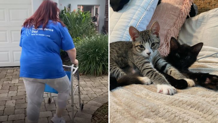 Watch How Two Preemie Kittens Helped A Florida Woman Survive A Stroke And Changed Her Life