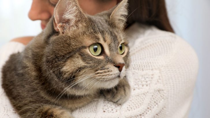 Woman Throws Her Boyfriend Out After Overhearing Him Curse At Her Cat