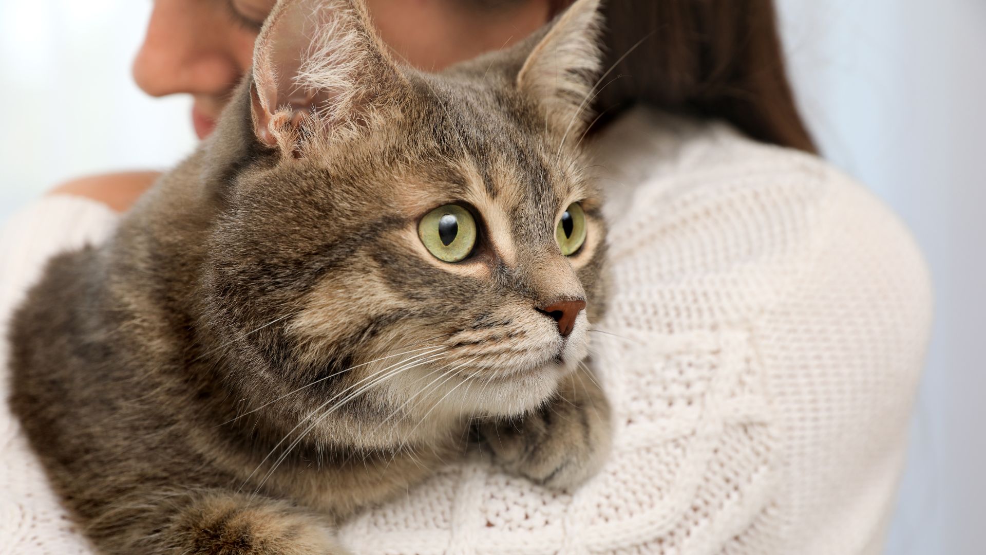 woman holding a cat