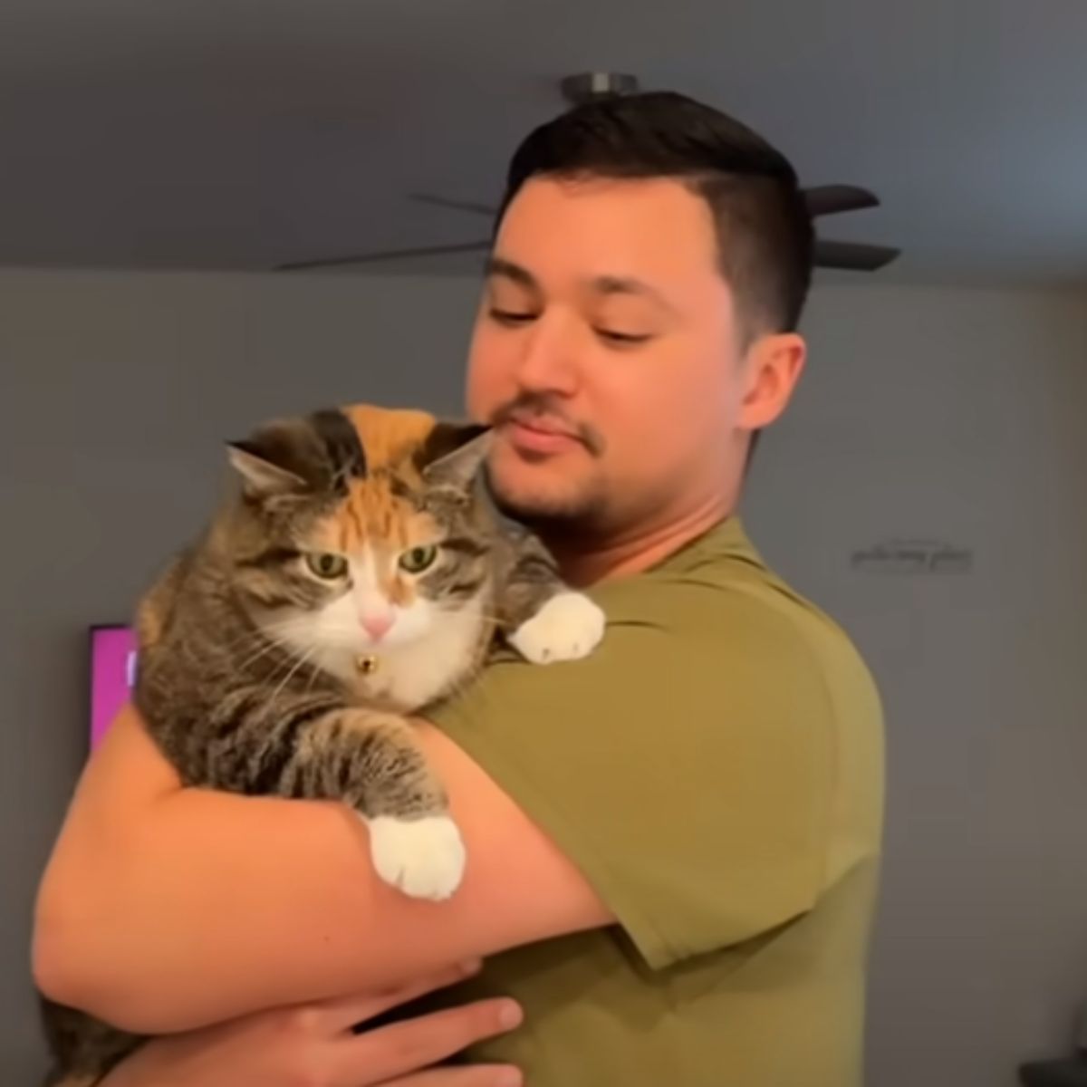 a man holds fat cat