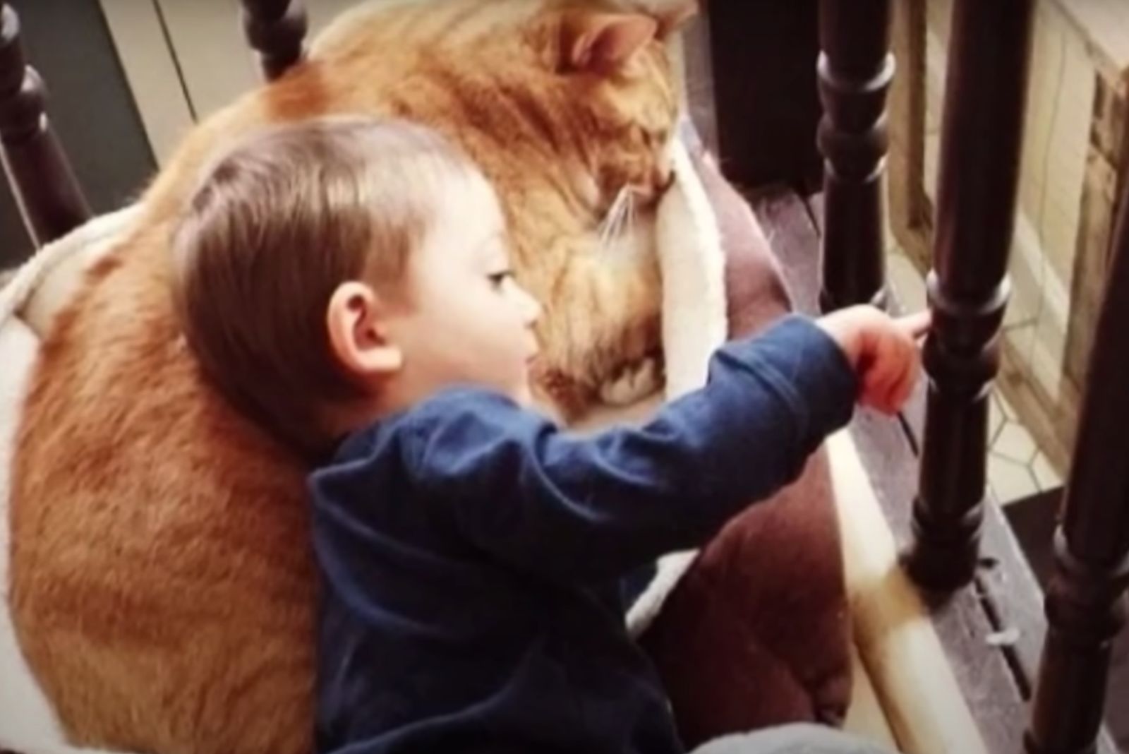 boy and ginger cat