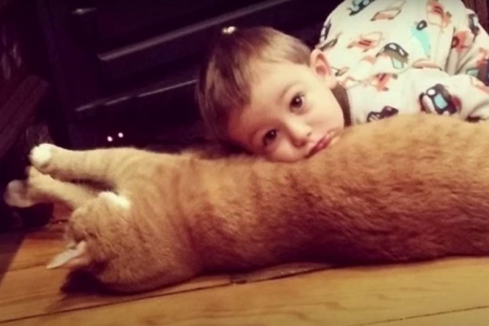 boy laying on a cat