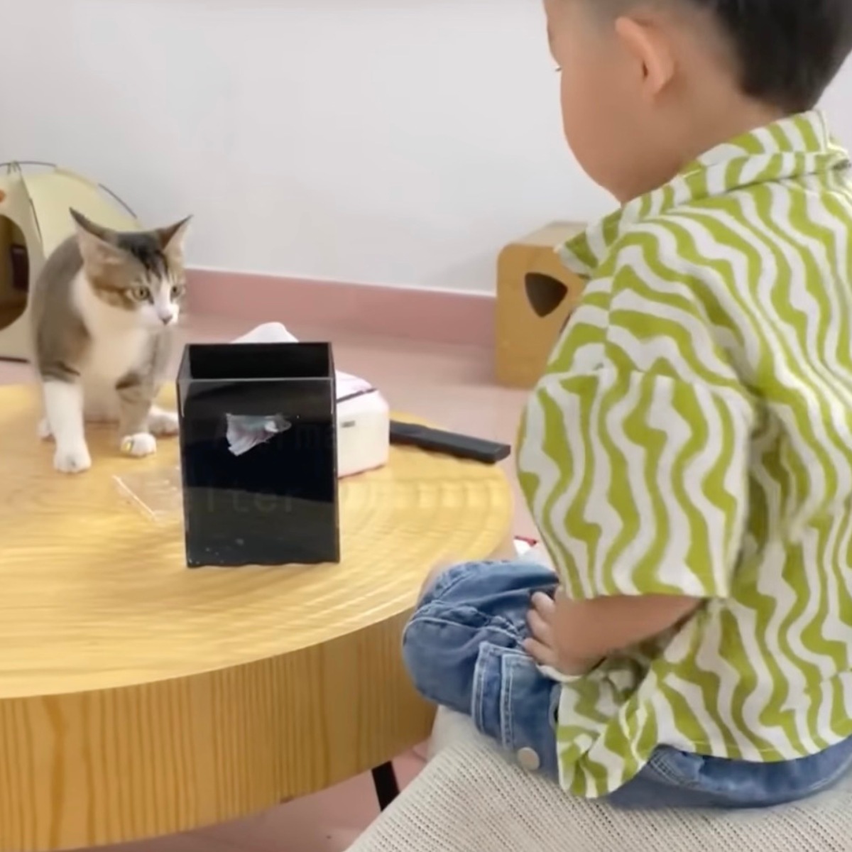 boy looking at kitten on table