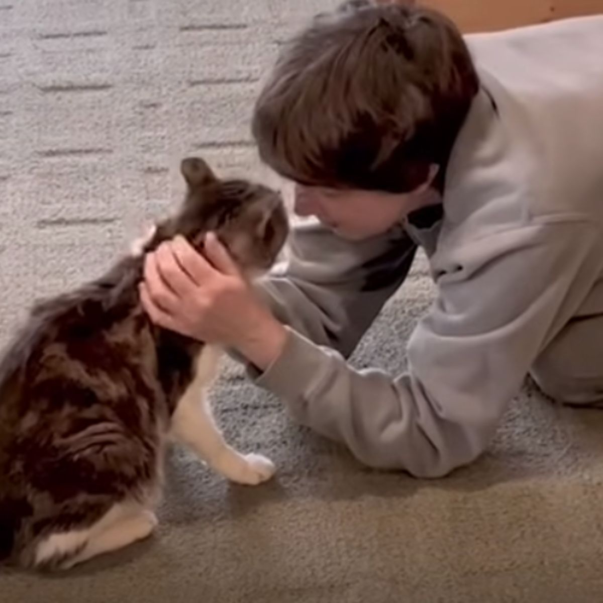 boy petting the cat