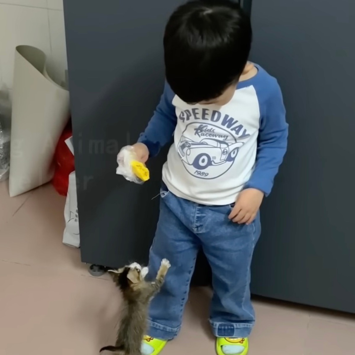 boy playing with kitten