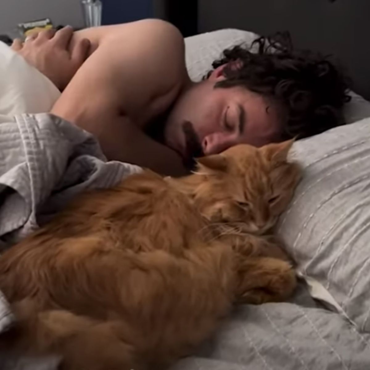 cat and a man sleeping together