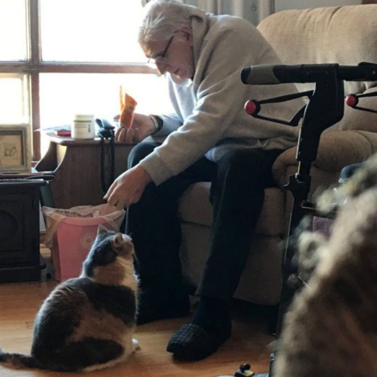 cat and an elderly person