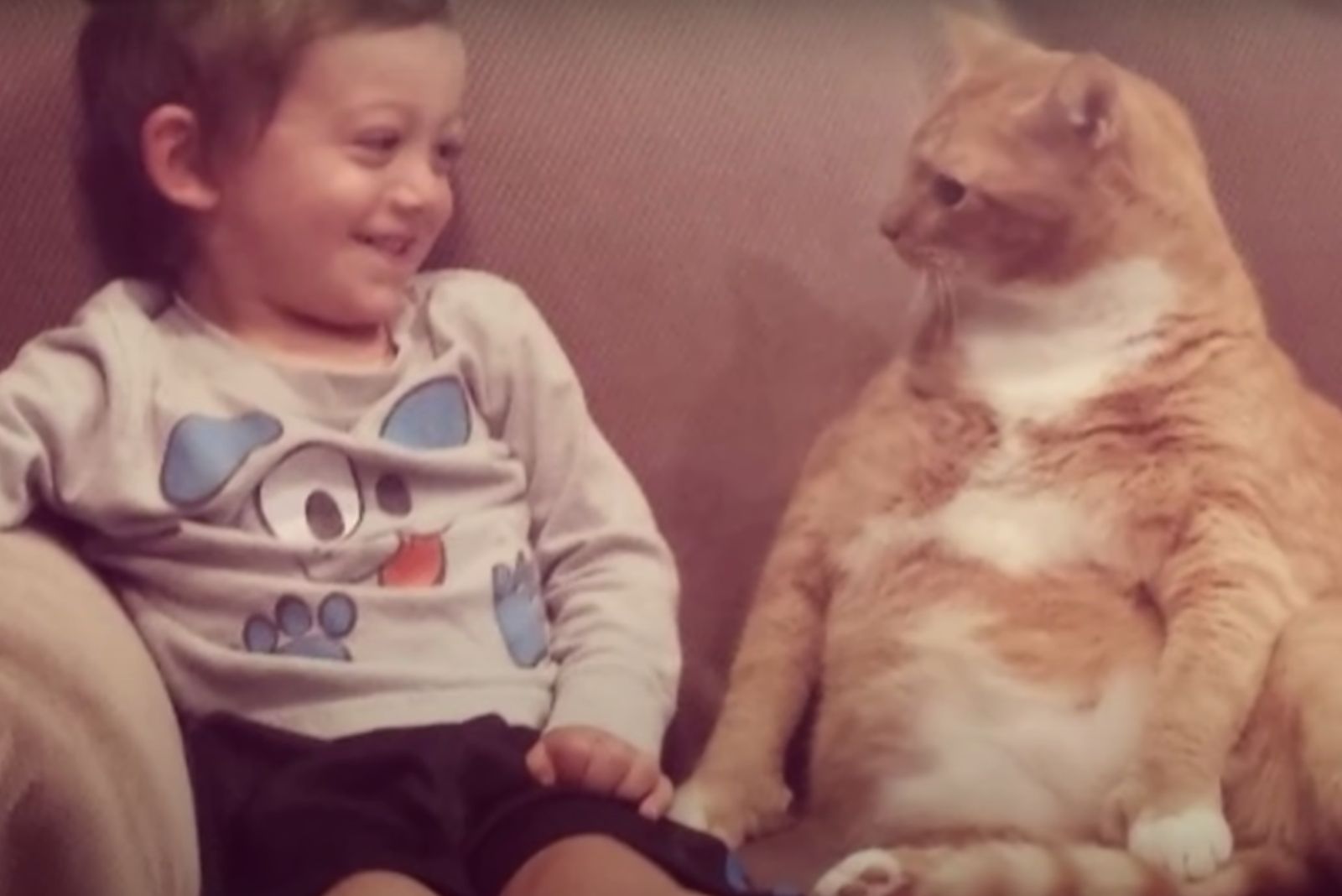 cat and boy sitting together