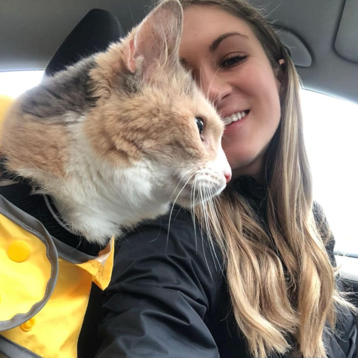 cat and woman in a car
