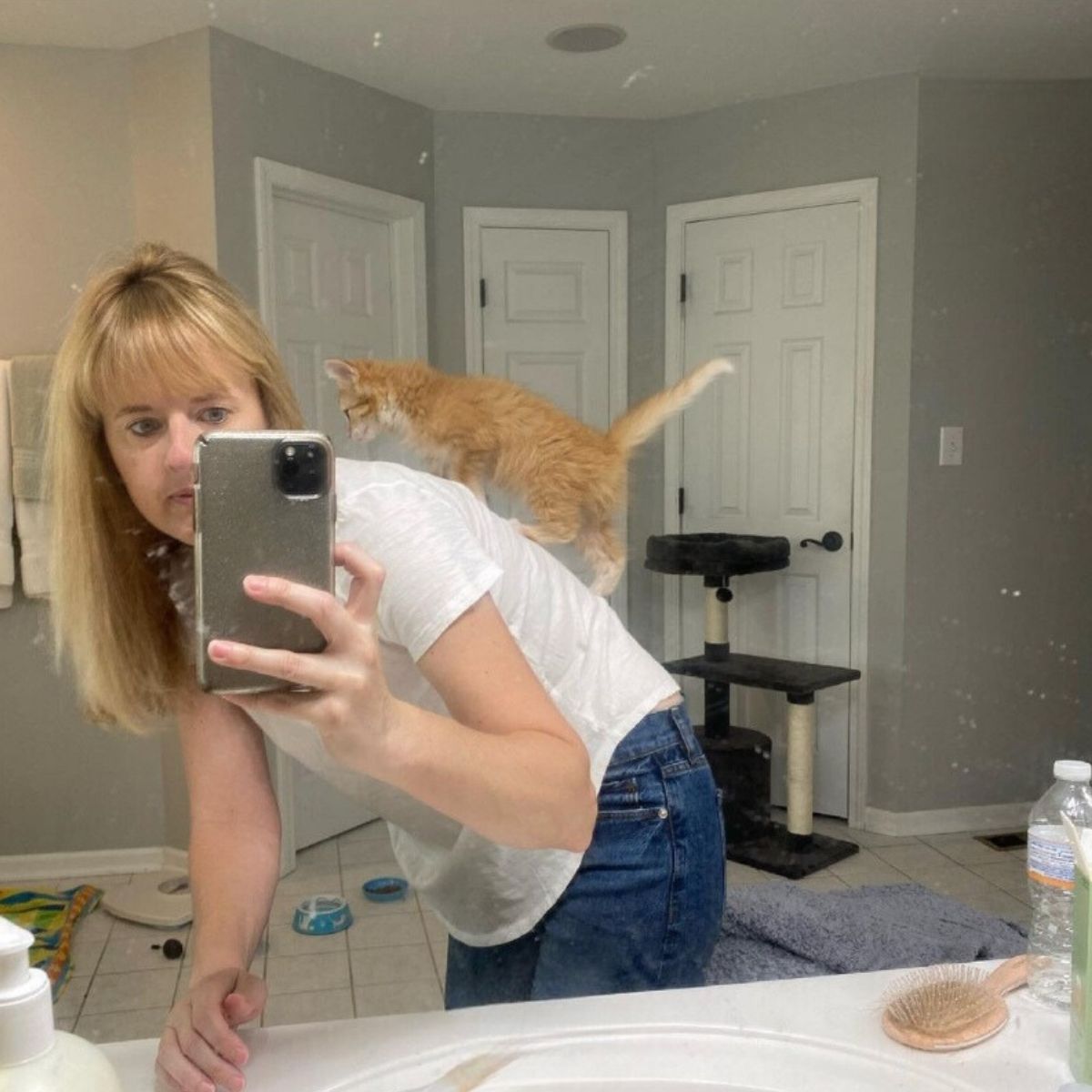 cat climbing on a owner