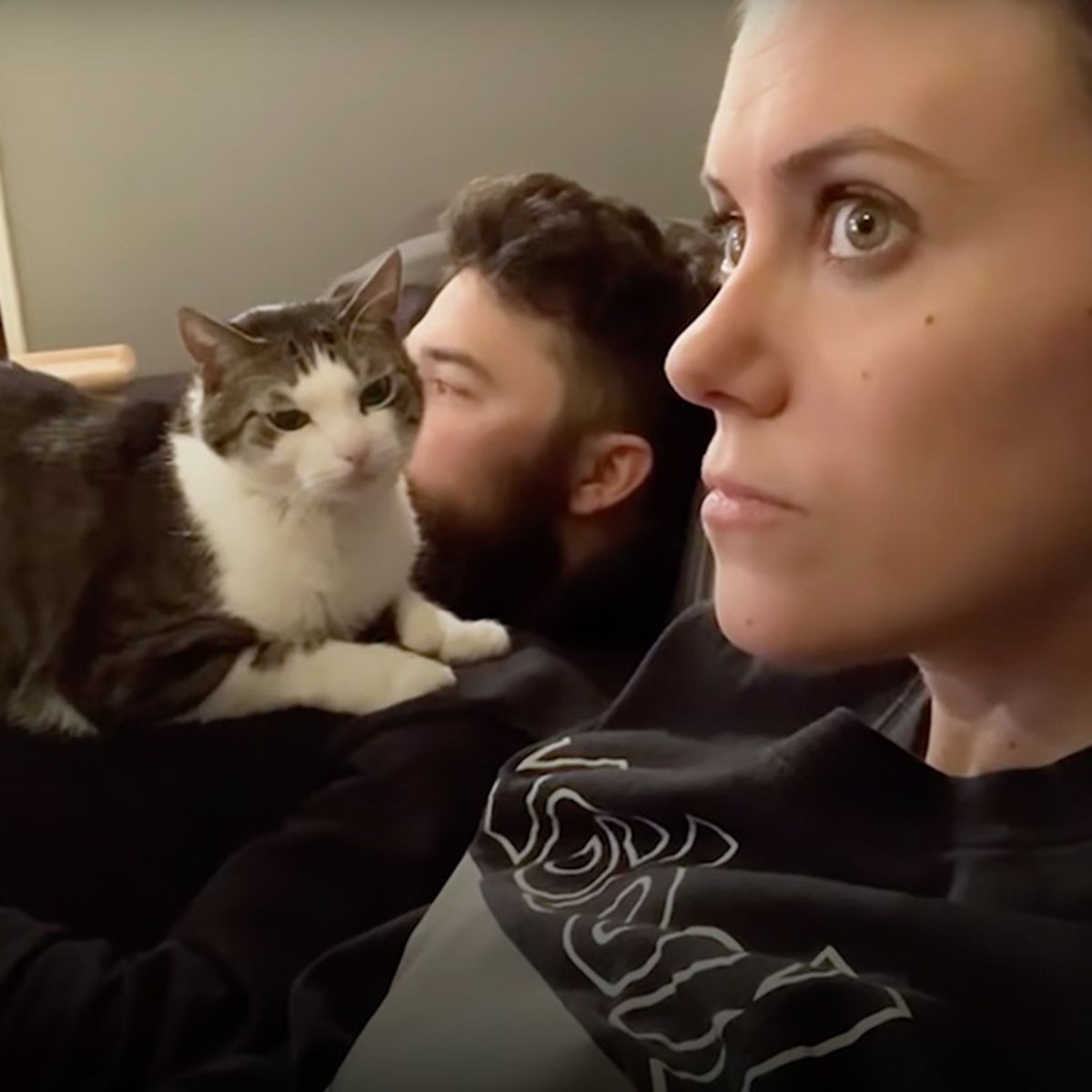 cat cuddling with man and looking a woman