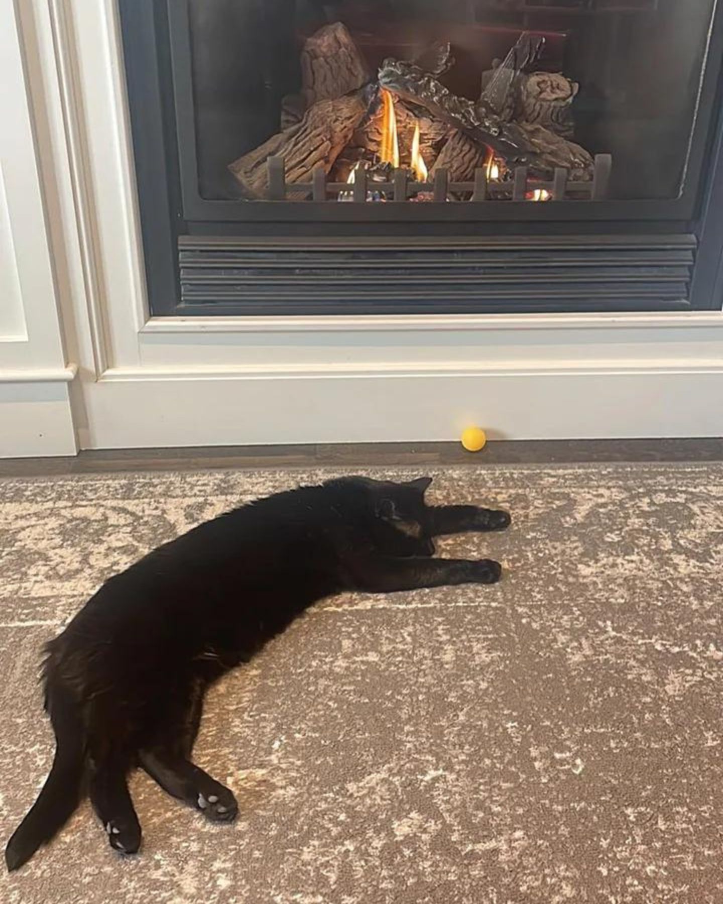 cat laying near fireplace