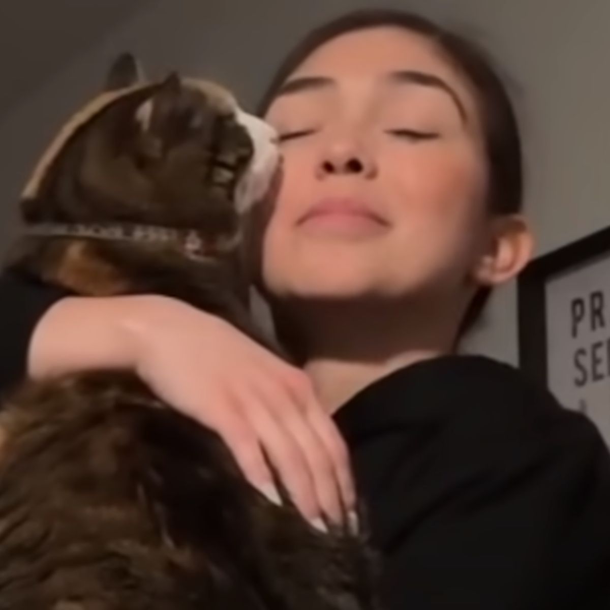 cat licking woman's face
