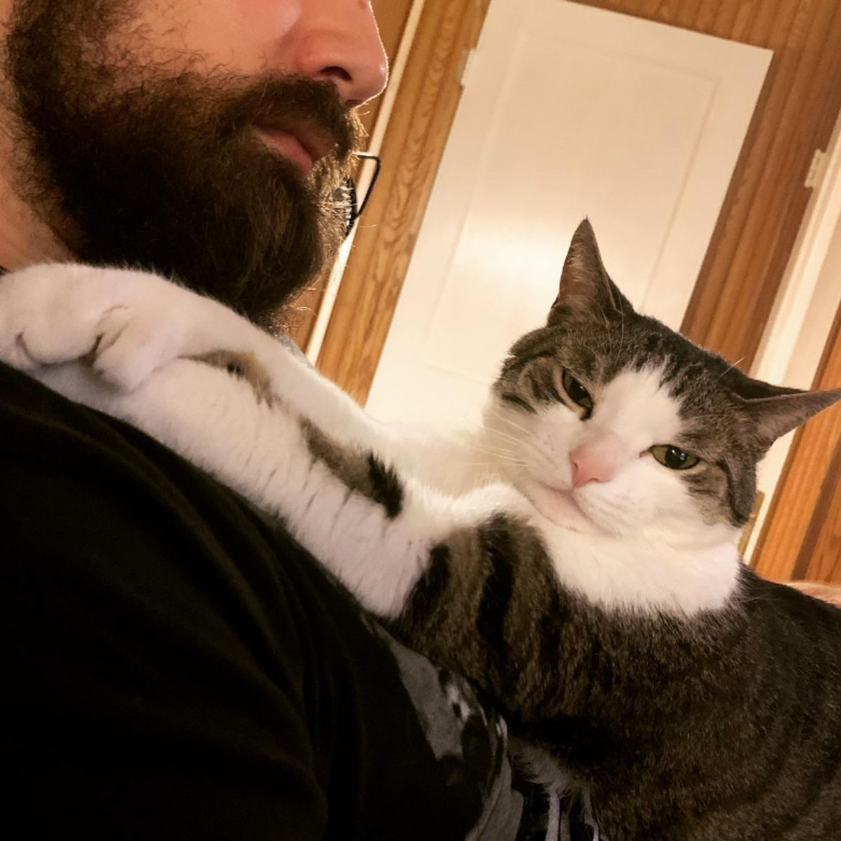 cat lying on man's chest