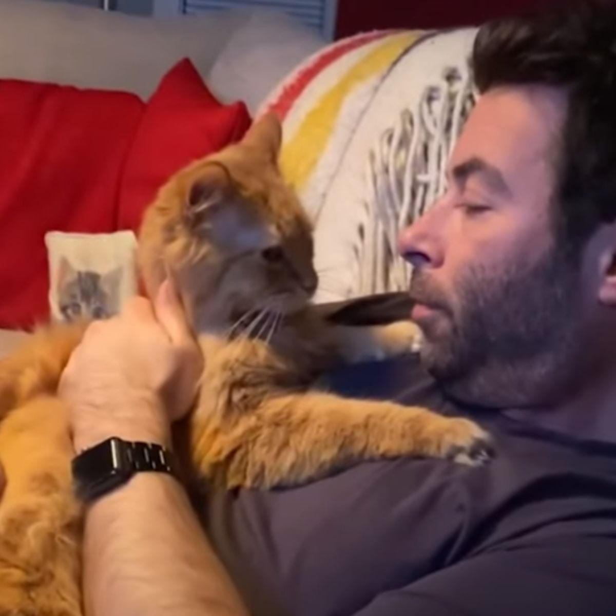 cat on man's chest snuggling with him