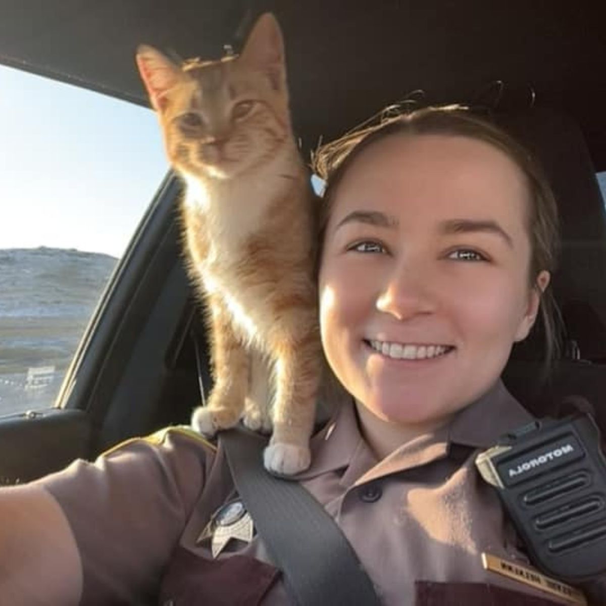 cat on police officers shoulder