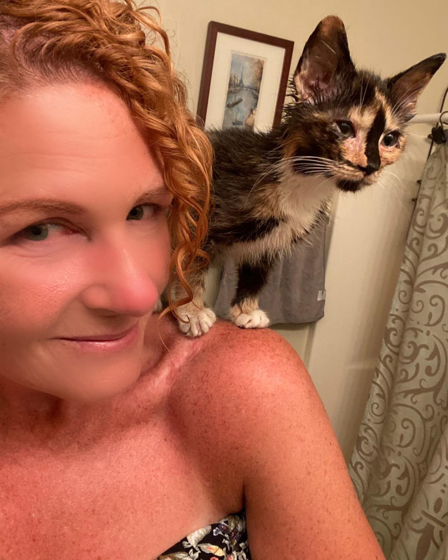 cat standing on woman's shoulder