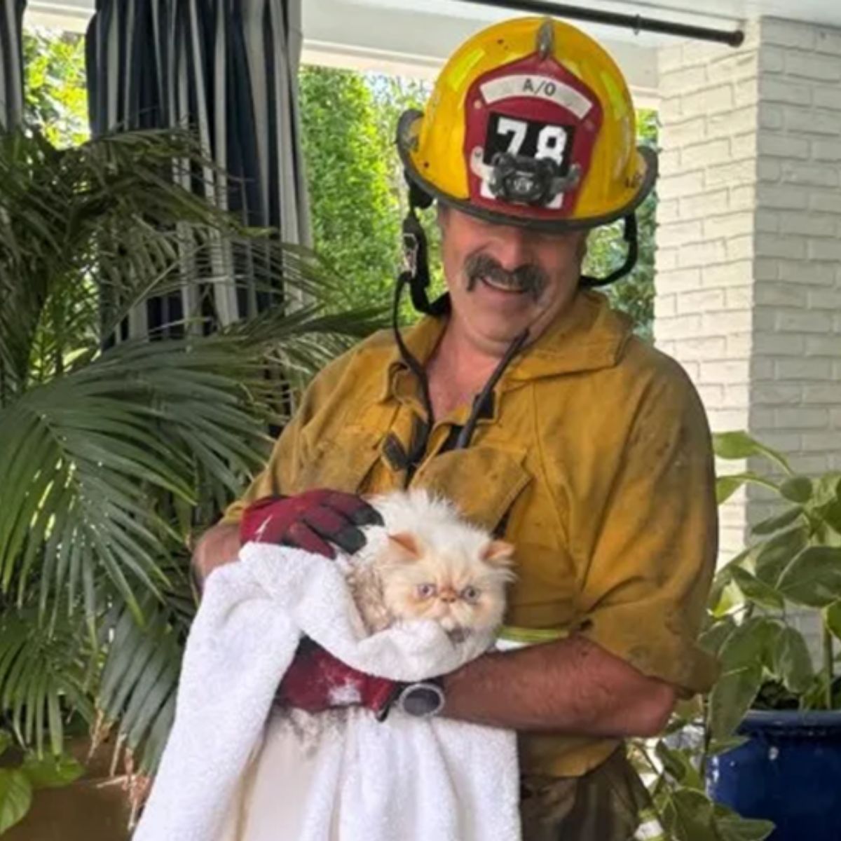 firefighter holding a cat