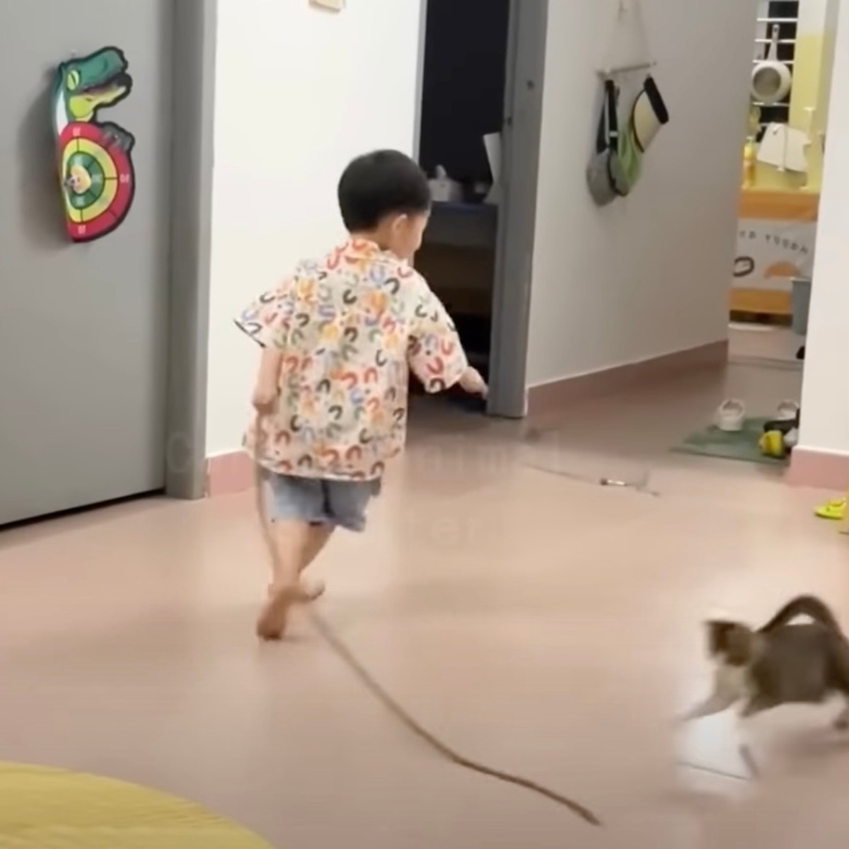 kitten and boy running indoors