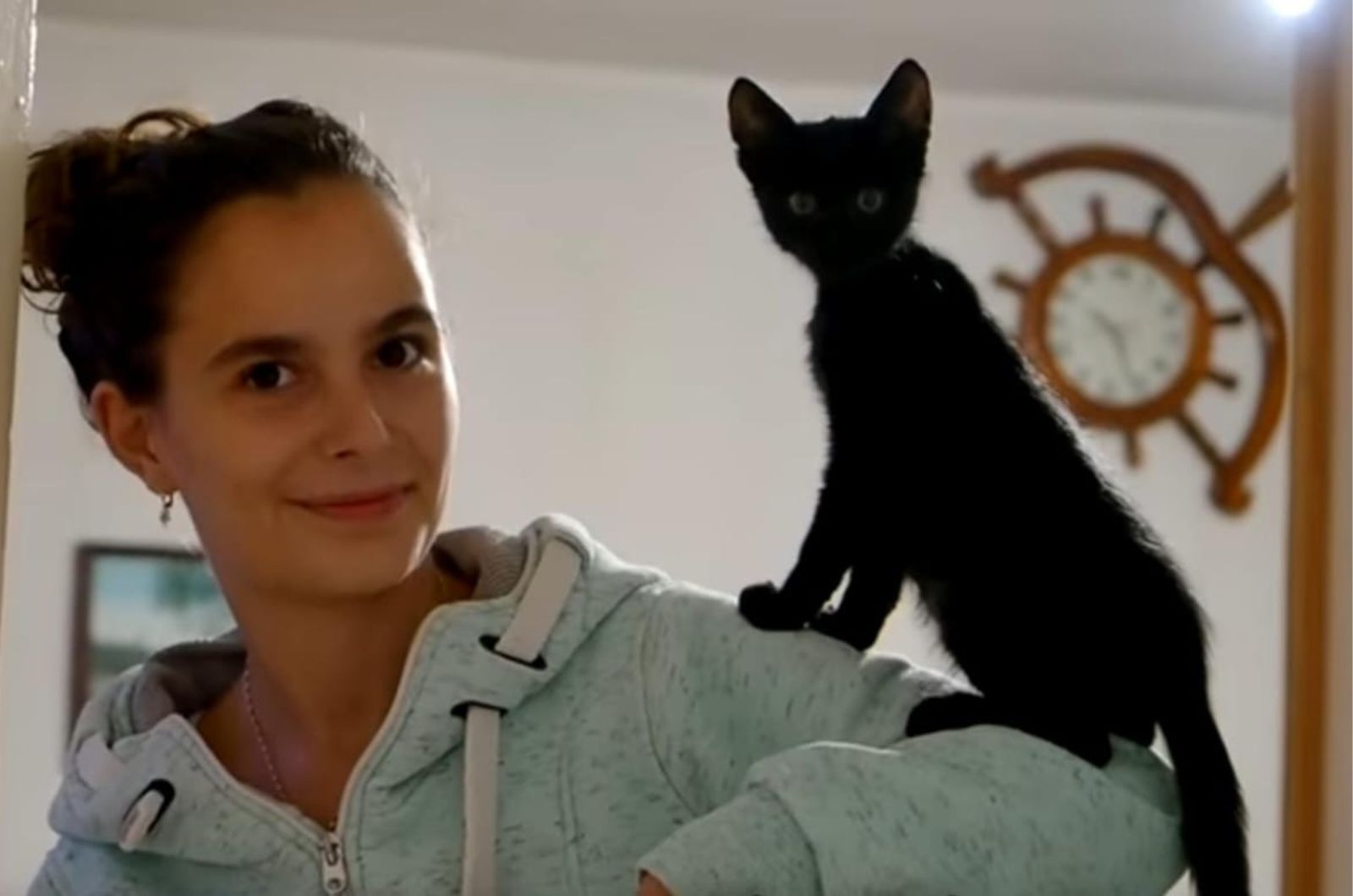kitten on woman's arm