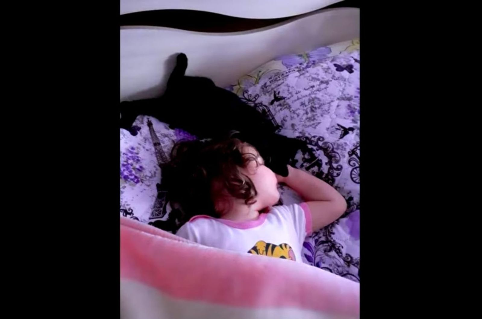 little girl and kitten lying in bed