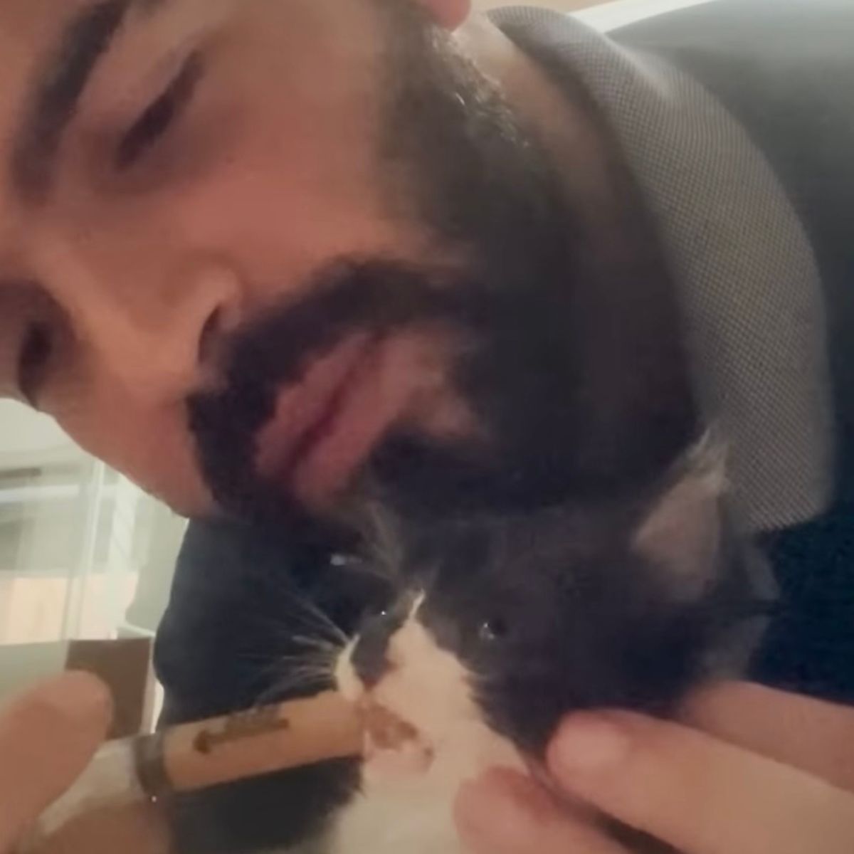 man feeding the kitten