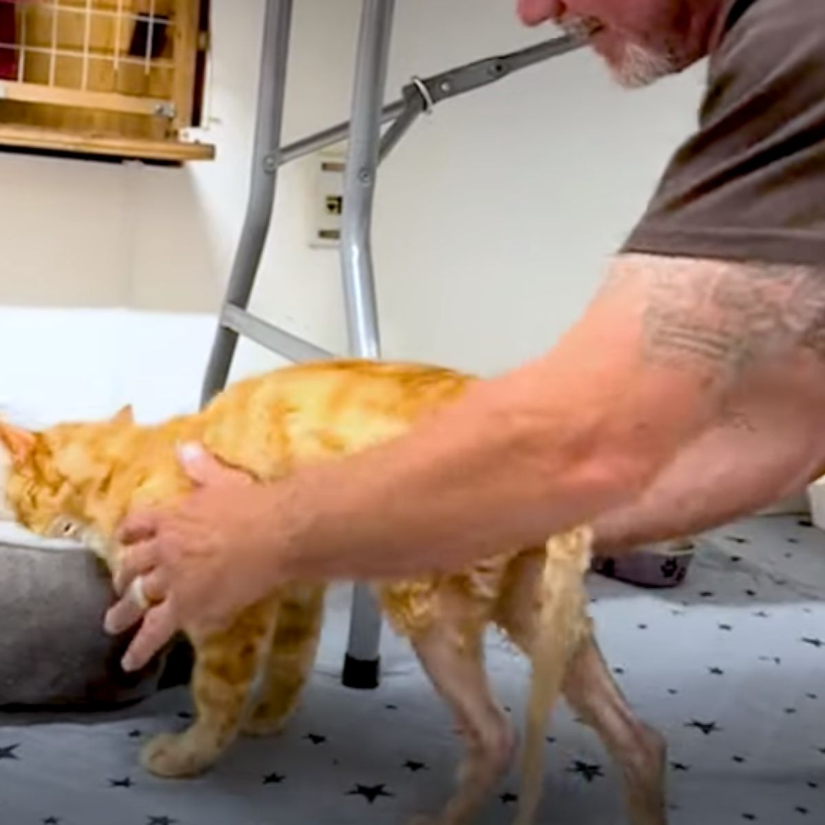 man helping paralyzed cat