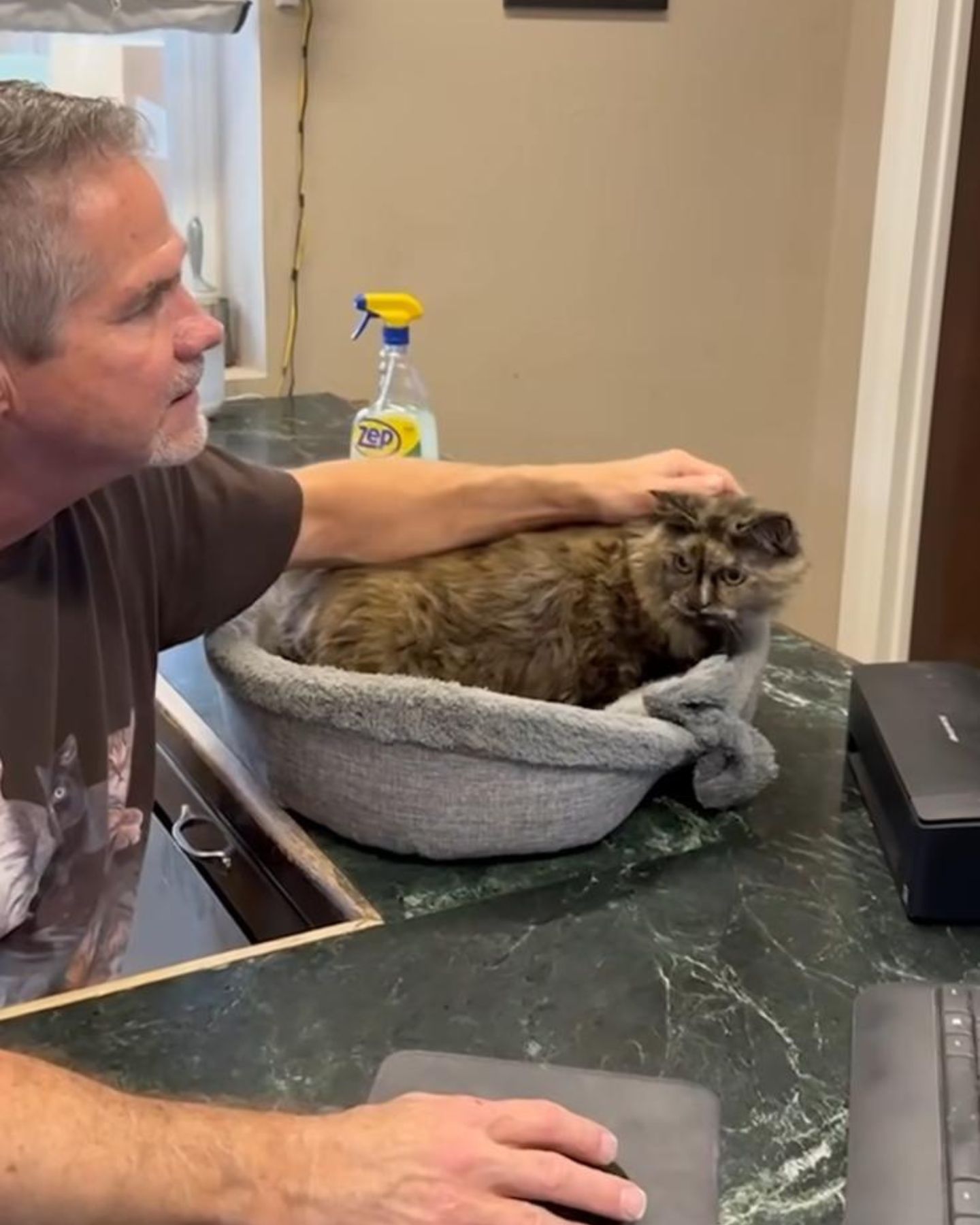 man petting a cat lying on table