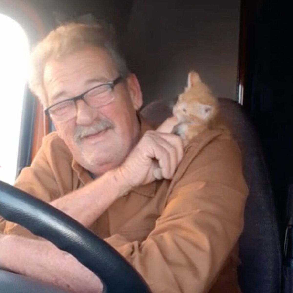 old driver and kitten