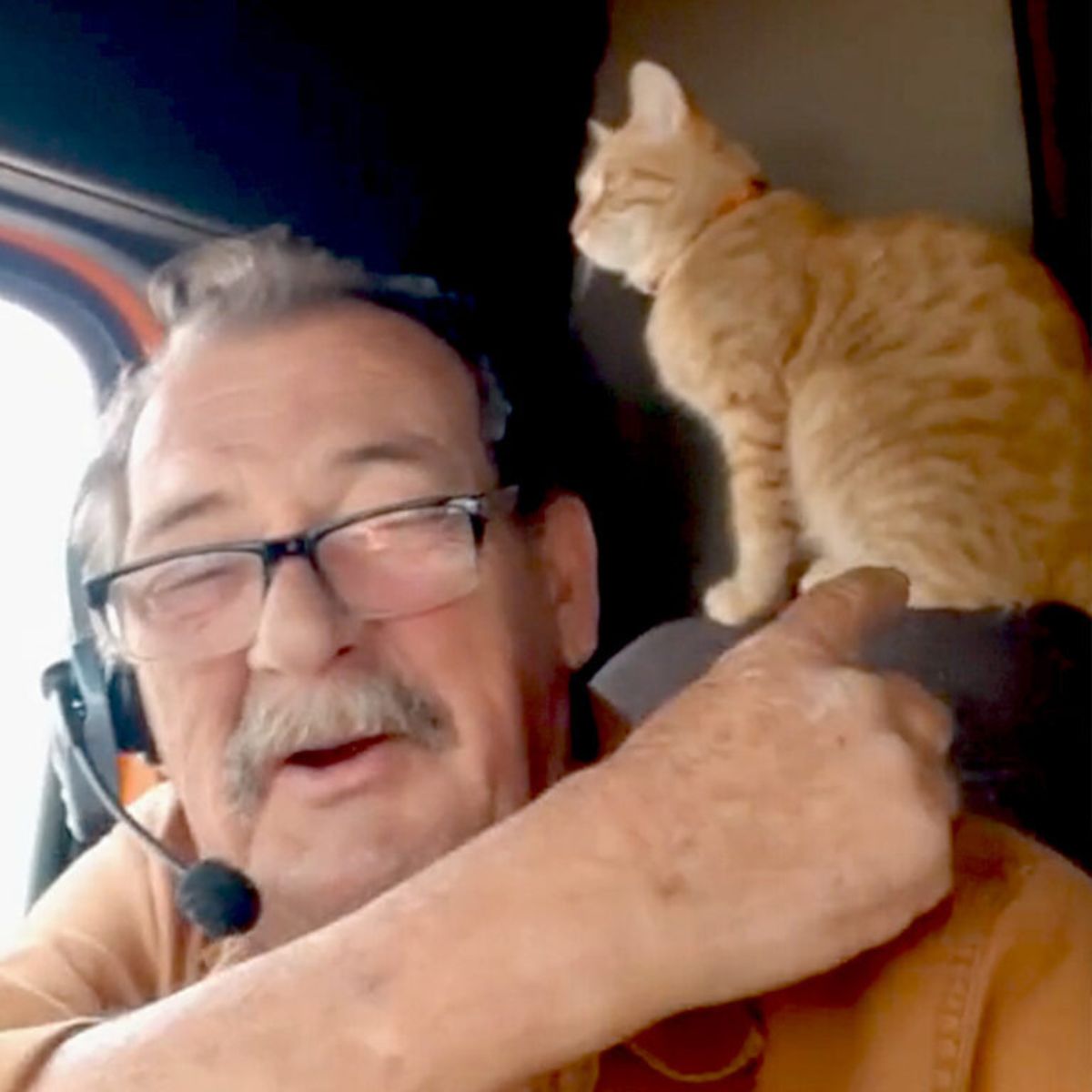old guy trucker and kitten