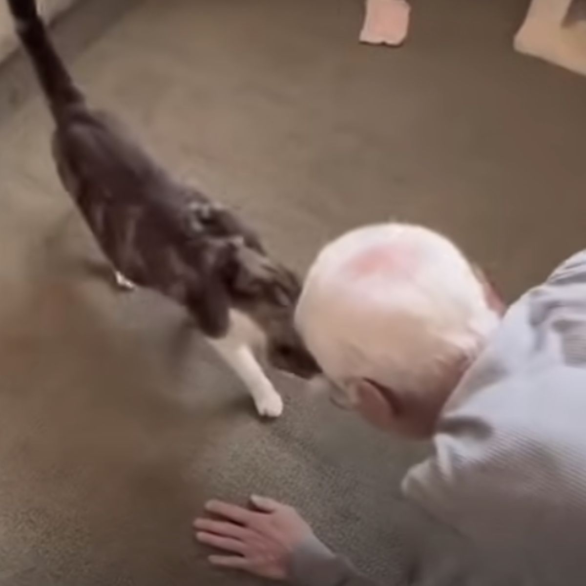 old man on the floor with cat