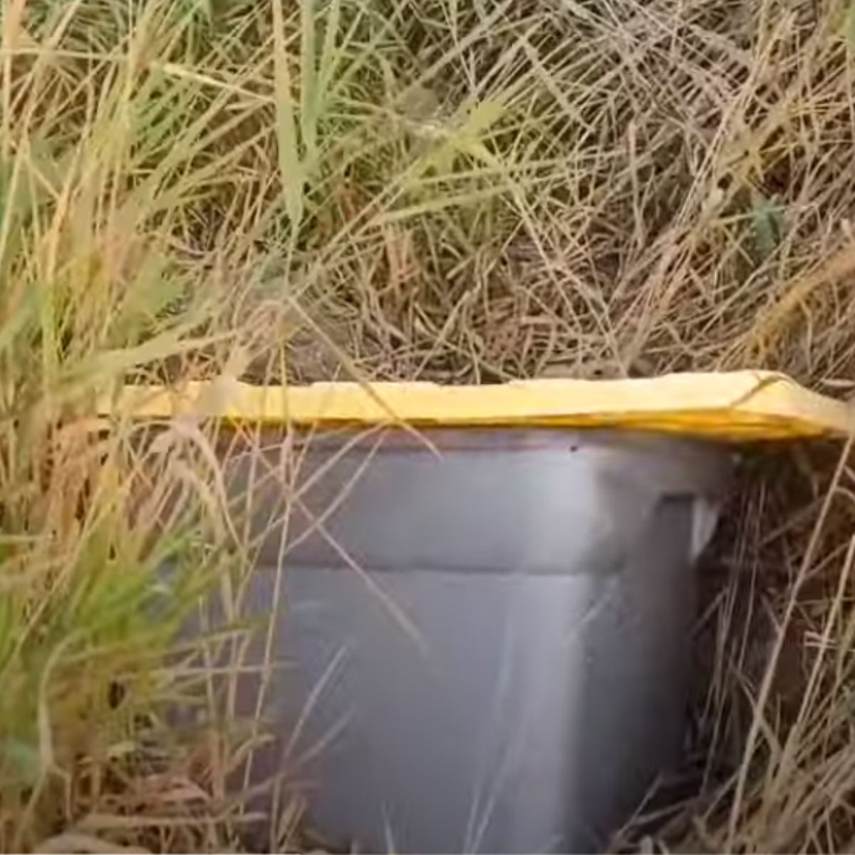 photo of black bucket in tall grass