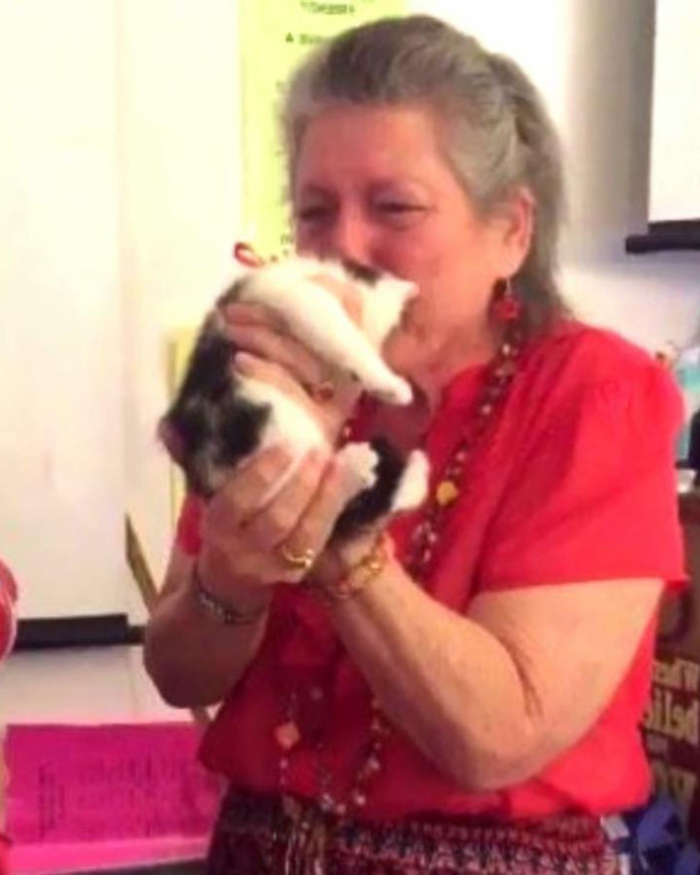 woman kissing black and white cat