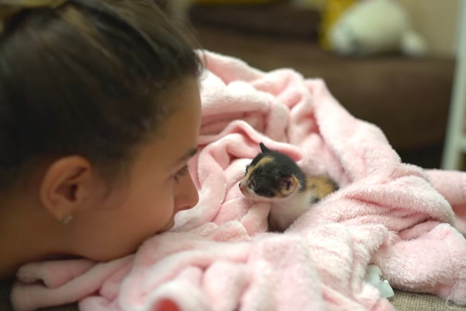 woman looking at little kitten in blanket