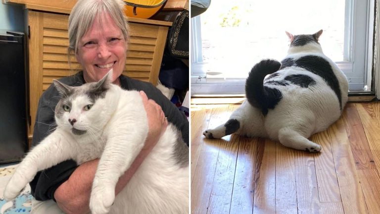 Old woman and very fat cat