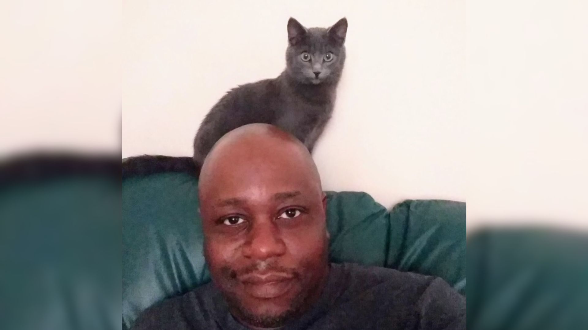 bald guy and cat