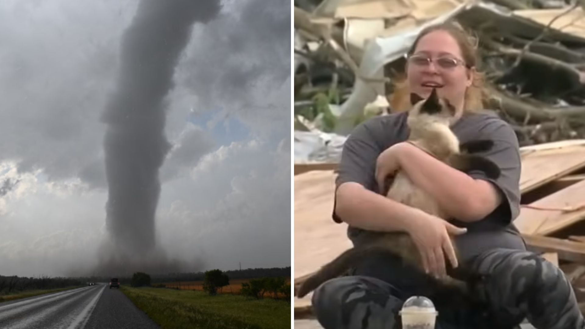 cat survives tornado