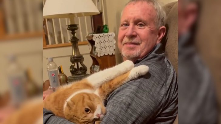 Devoted Cat Stays By His Grandpa’s Side And Helps Him Fight Cancer