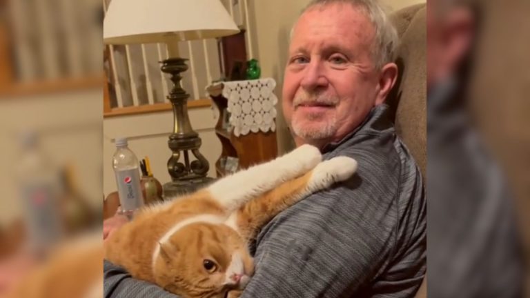 cat with grandpa