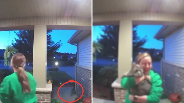 Doorbell Camera Catches A Touching Reunion Of A Woman And Her Lost Pet Cat