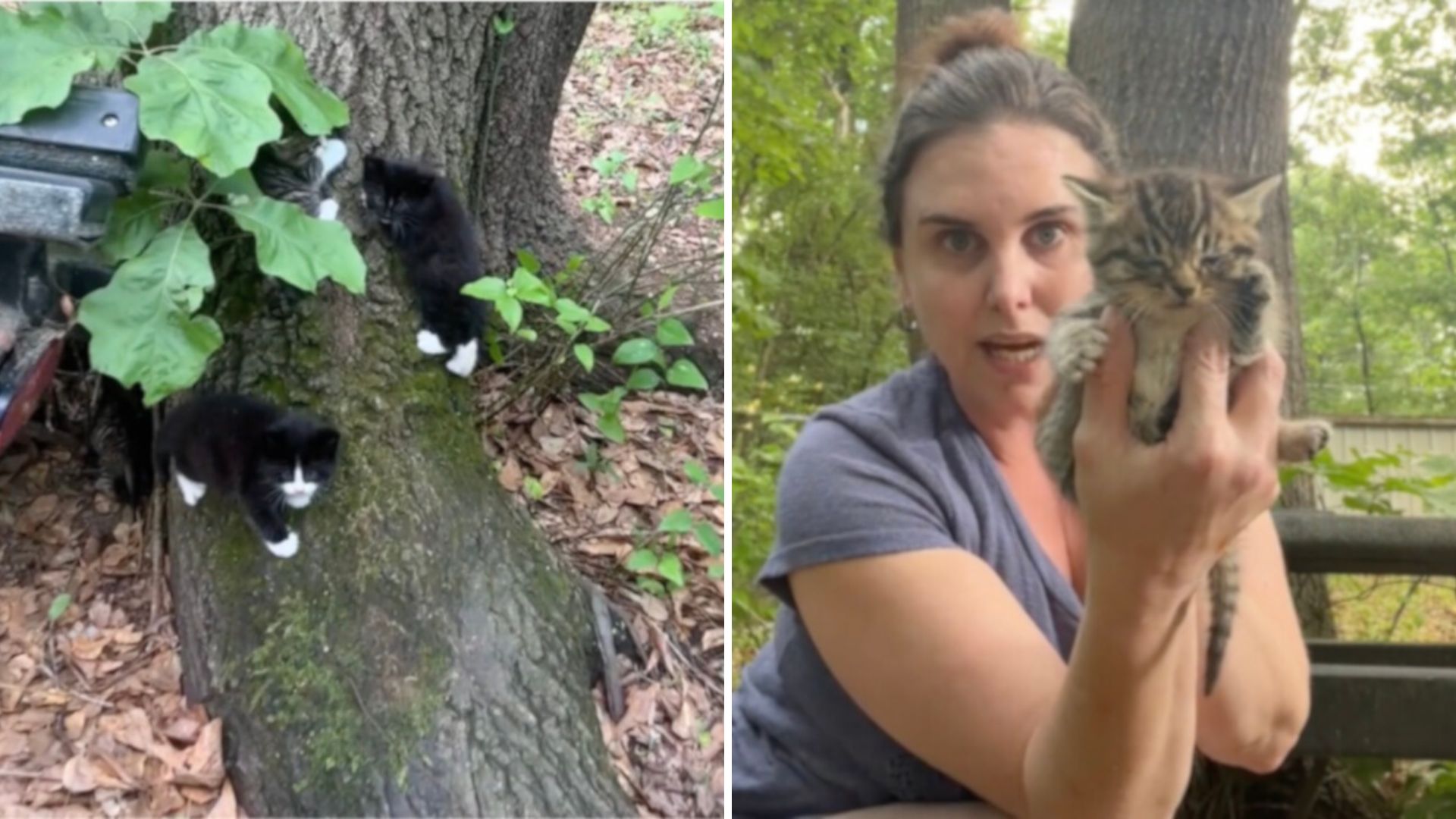 woman found fury intrudesr in yard