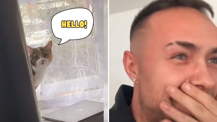 Guy With Cat Phobia Starts Screaming Anxiously When He Finds One In His Bedroom