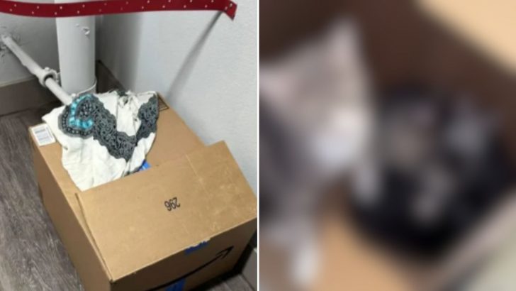 Las Vegas Residents Shocked To Discover What Was Inside A Large Box Abandoned In Their Hallway